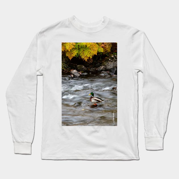 Mallard on Lake Rescue Long Sleeve T-Shirt by srwdesign